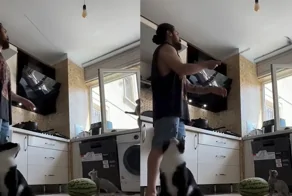 Парень показал, как занять одной игрушкой сразу трех котов