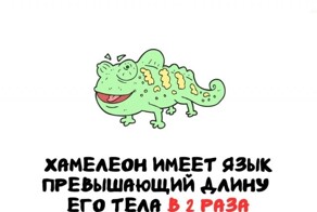 А вдруг ты не знал…