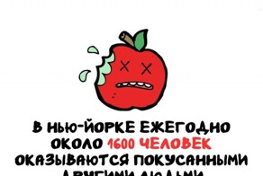 А вдруг ты не знал…