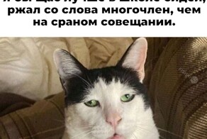 Не ищите здесь смысл. Здесь в основном маразм