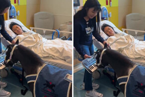 В США пони-терапевты играют на синтезаторе, чтобы помочь пациентам выйти из наркоза