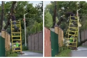 Когда знаешь своё дело