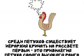 А вдруг ты не знал…