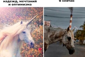 Не ищите здесь смысл. Здесь в основном маразм