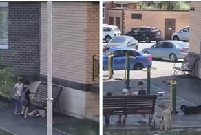 В Дагестане местные жители возмутились поведению детей, которые специально провоцировали уличных собак