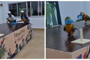 Когда победа важнее правил игры