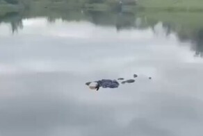 В Красноярском крае рыбаки поймали самый необычный улов в своей жизни