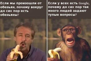 Не ищите здесь смысл. Здесь в основном маразм