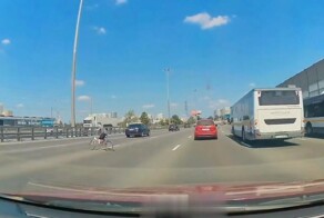 Инстинкт самосохранения отсутствует полностью