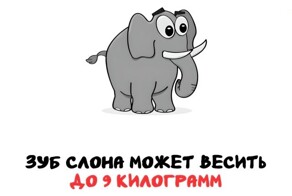 А вдруг ты не знал…