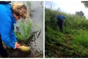 Конфликт с "хозяйкой пруда"