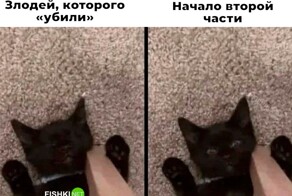 Скрины из соцсетей
