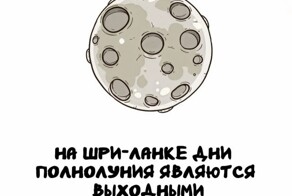 А вдруг ты не знал…
