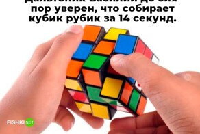 Не ищите здесь смысл. Здесь в основном маразм