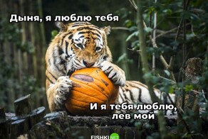 Скрины из соцсетей