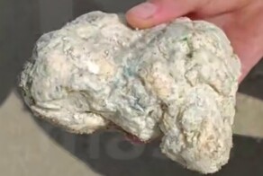 Российские туристы нашли на пляже в Таиланде рвоту кашалота