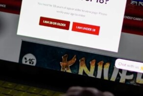 В Европе планируют ввести вход в интернет по паспорту