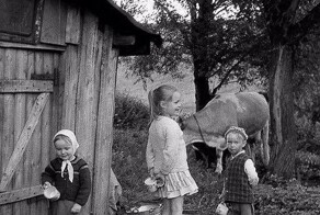 На деревню-2