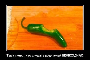 Демотиваторы для всех