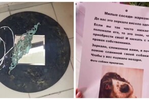 Наркоманы из Краснодара вечно воруют зеркало у гадалки для грязных дел — она и её собачка нашли способ отбить им нюх