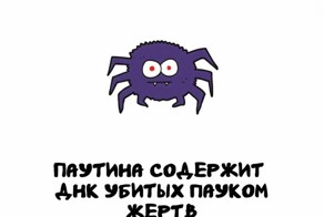 А вдруг ты не знал…