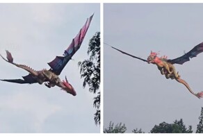 Житель Китая создал эффектного дракона из пенопласта