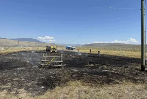 В Канаде рыба, упавшая с неба, обесточила село и вызвала пожар