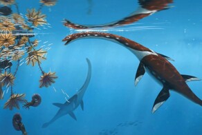 Обнаружено ещё одно морское чудовище юрского периода