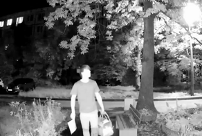 Петербурженке с астмой подкинули в окно кота с запиской, какой корм он любит