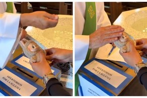 Мир сошёл с ума: верующие владельцы Лабубу стали освящать своих плюшевых монстров