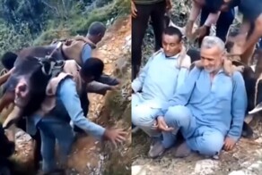 В&nbsp;Индии 2&nbsp;брата на&nbsp;себе принесли 200-кг корову к&nbsp;ветеринару