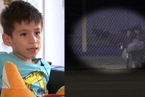 В США койот напал на 6-летнего мальчика во время матча