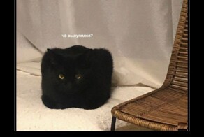 Демотиваторы для всех 