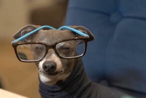 Всё вразнобой&nbsp;