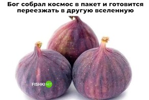 Скрины из соцсетей