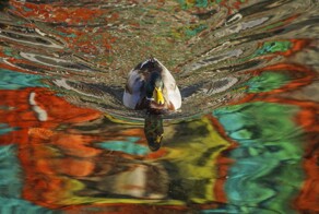 Оптическая поэзия: 20 фото, которые обманут ваше восприятие