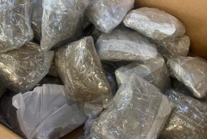 Почти три килограмма марихуаны прислали россиянину из Калифорнии