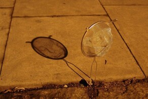 25 волшебных теневых иллюзий, доказывающих, что природа — лучший художник