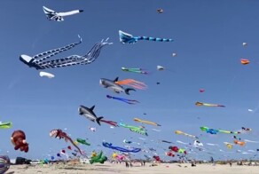 Крупный фестиваль воздушных змеев в Дании