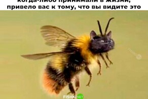 Скрины из соцсетей