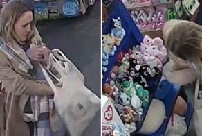 В Великобритании воровка набила штаны мягкими игрушками