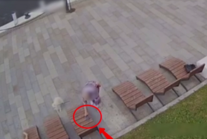 Дама с собачкой присвоила себе мобильный телефон, который был забыт на лежаке