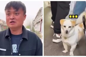 Талантливый китаец пародирует животных и птиц так, что те начинают ему отвечать