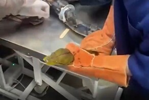 Неудачный побег Василия