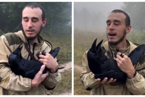 Хозяин  продемонстрировал умение своего ворона зевать