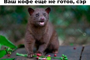 Смешные картинки