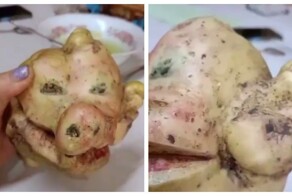 Женщина выкопали картофелину, напоминающую жуткую морду