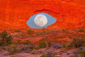 На общую тему&nbsp;