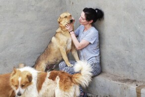 Тёмная сторона Египта: туристка спасла собак из концлагеря