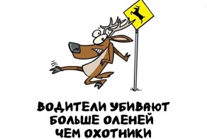 А вдруг ты не знал…